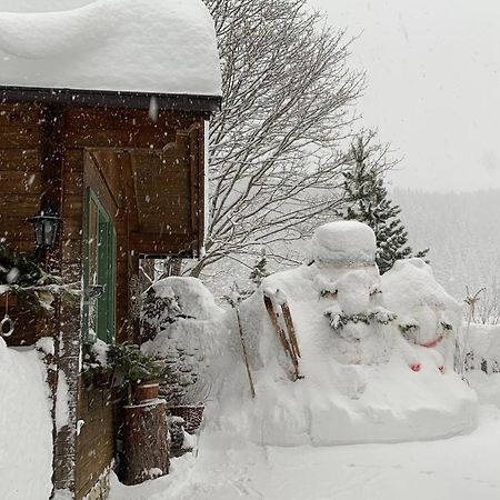 Appartement Aigner Mauterndorf  Buitenkant foto